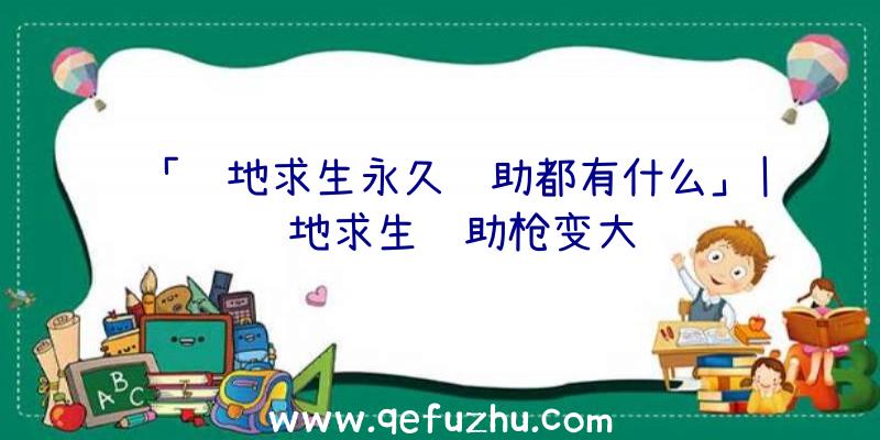 「绝地求生永久辅助都有什么」|绝地求生辅助枪变大